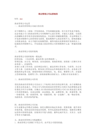 商业管理公司运营细则
