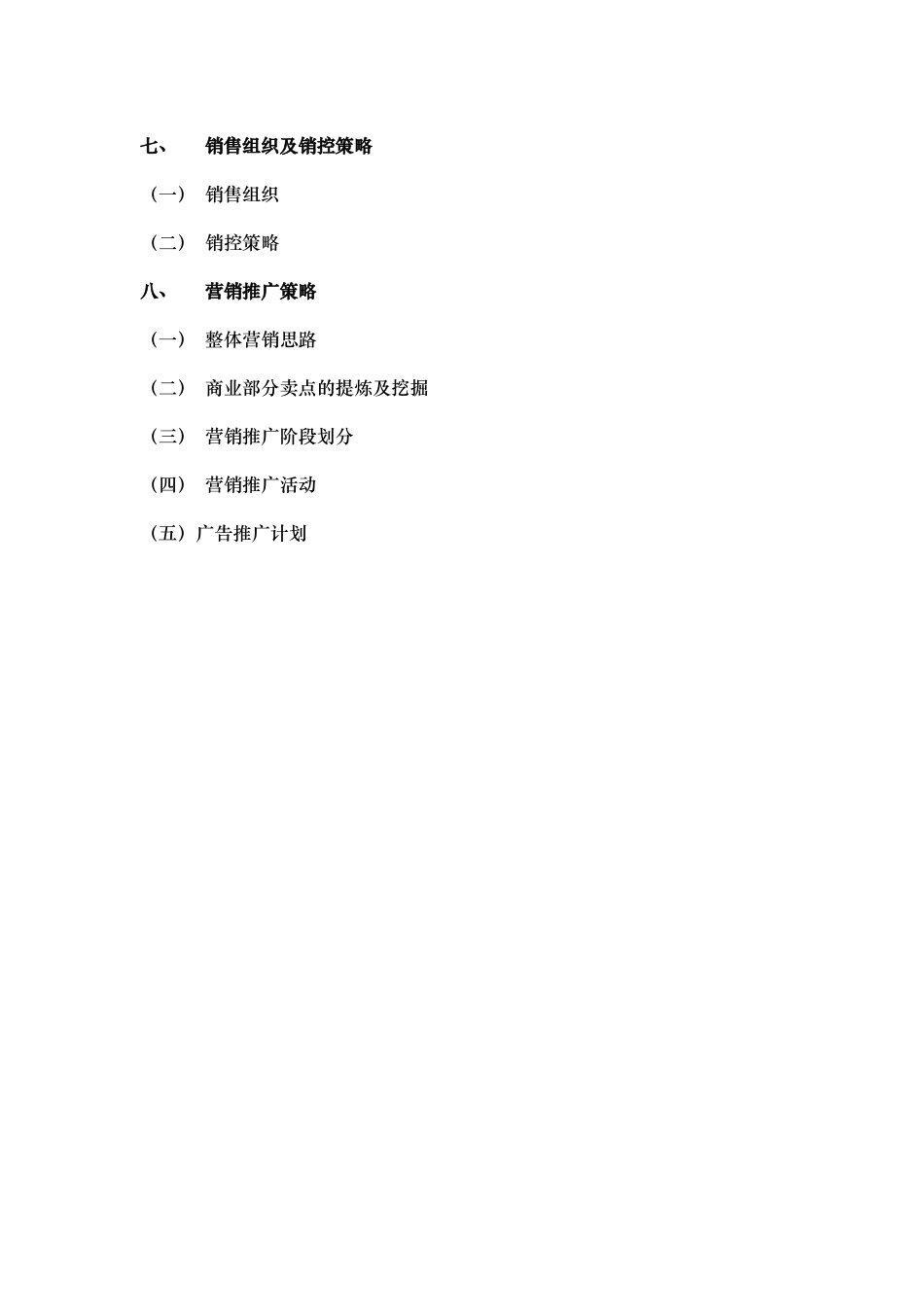 商业部分营销推广策划报告_第2页