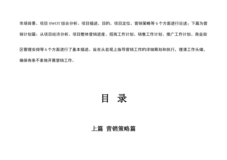 商业项目整体营销方案_第3页