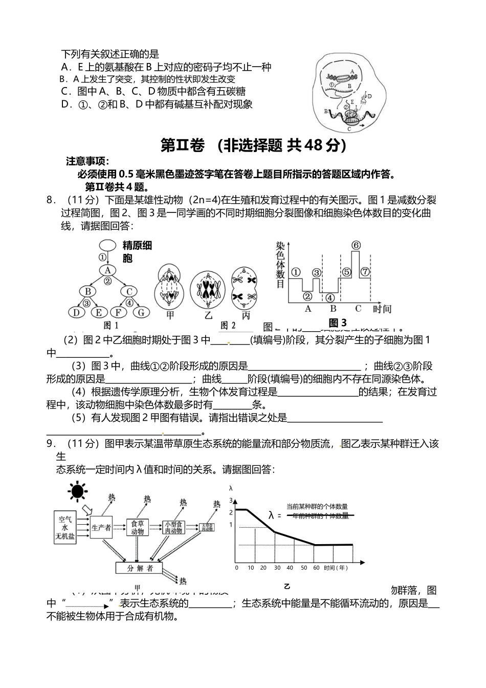 四川省宜宾市2025届高三第一次诊断考试生物试题_第3页