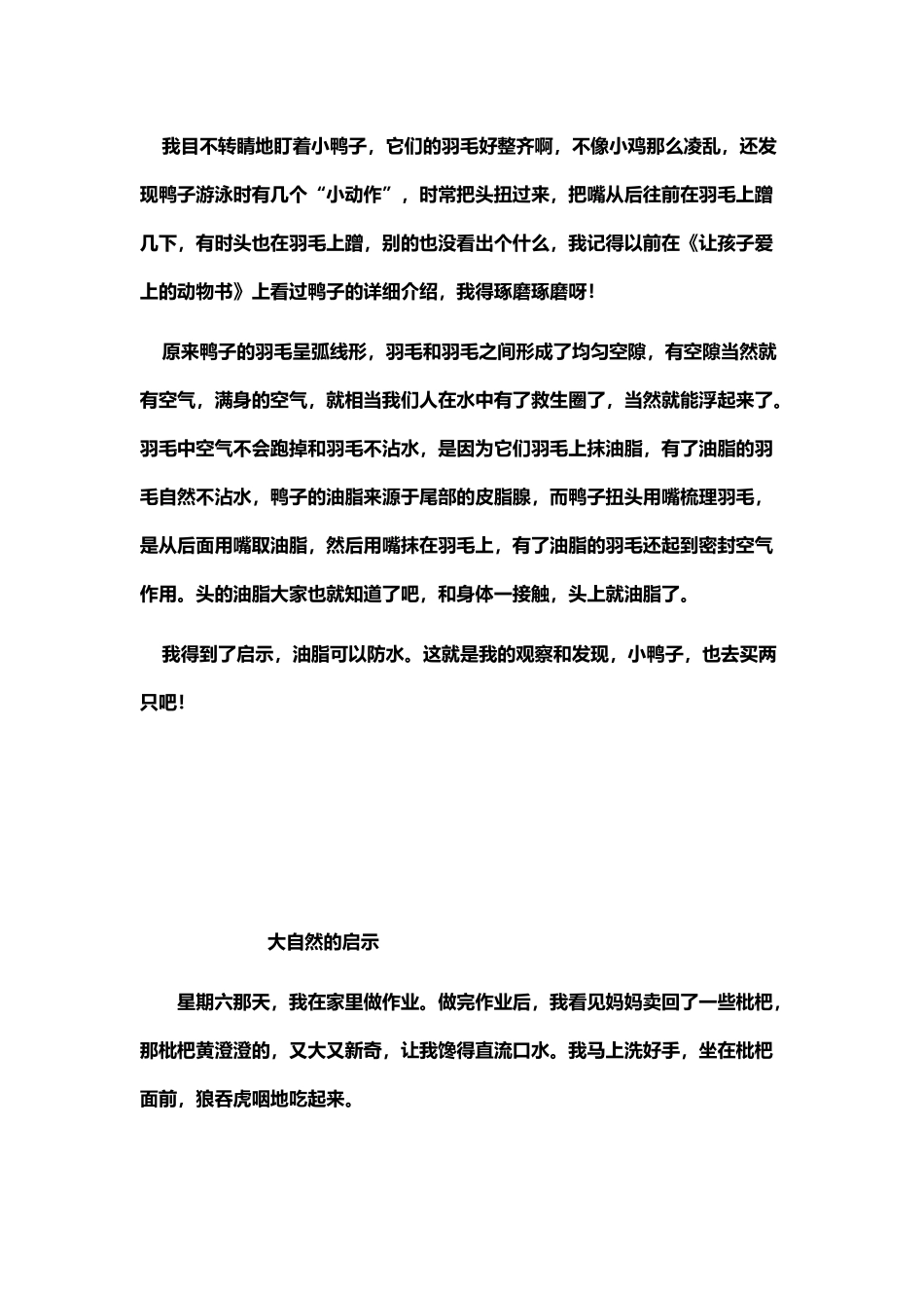 四年级大自然的启示范文28篇作文_第3页