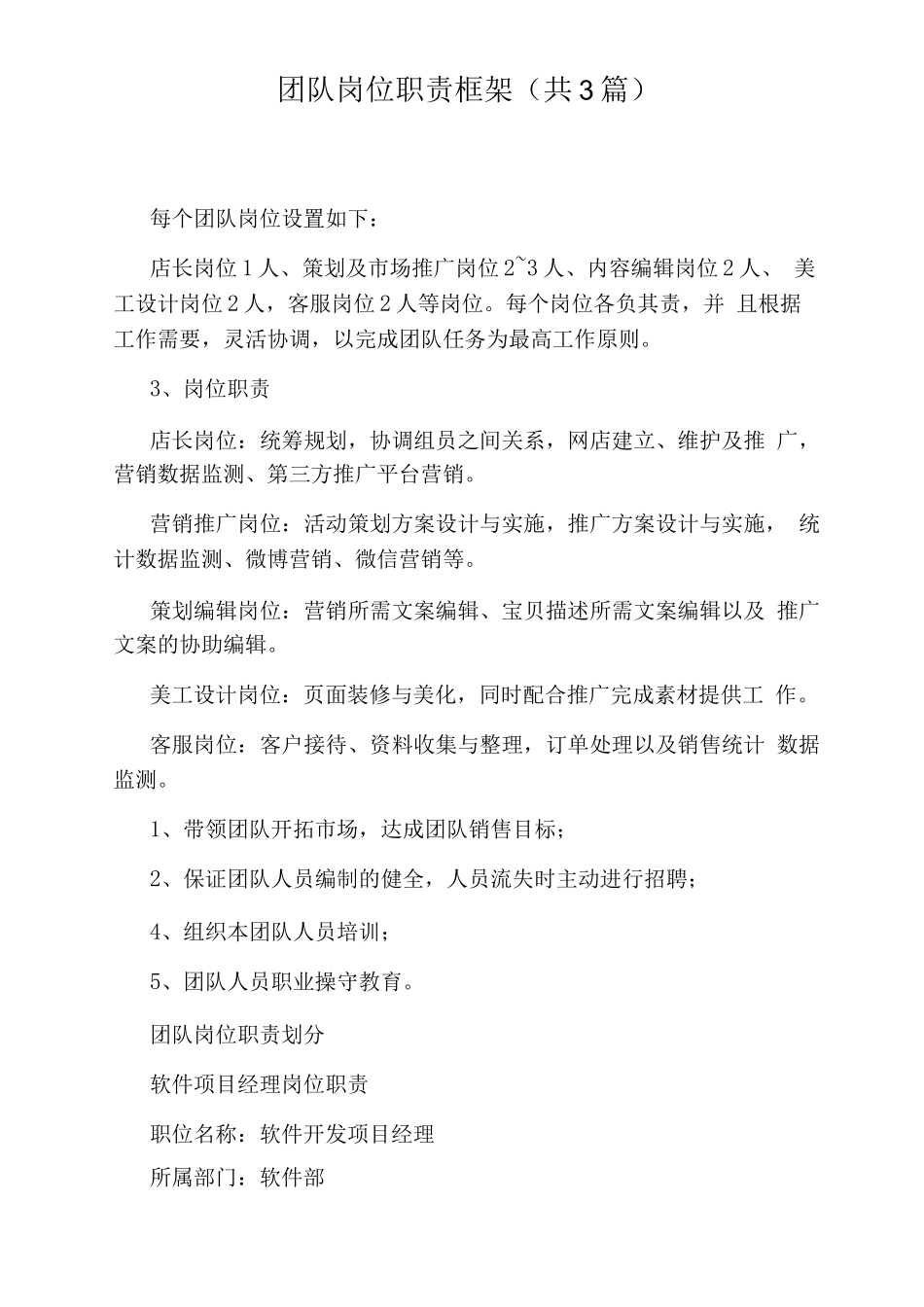 团队岗位职责框架_第1页