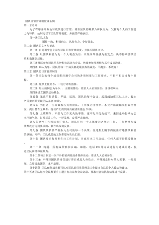团队日常管理制度及条例