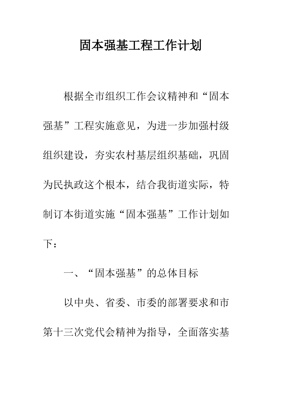 固本强基工程工作计划_第1页