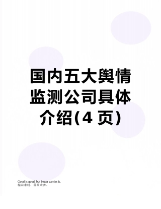 国内五大舆情监测公司具体介绍