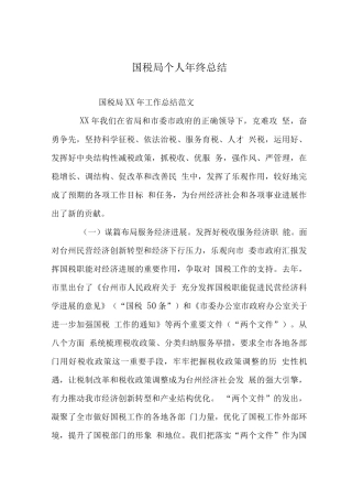 国税局个人终总结