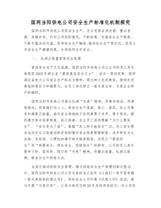 国网当阳供电公司安全生产标准化机制探索