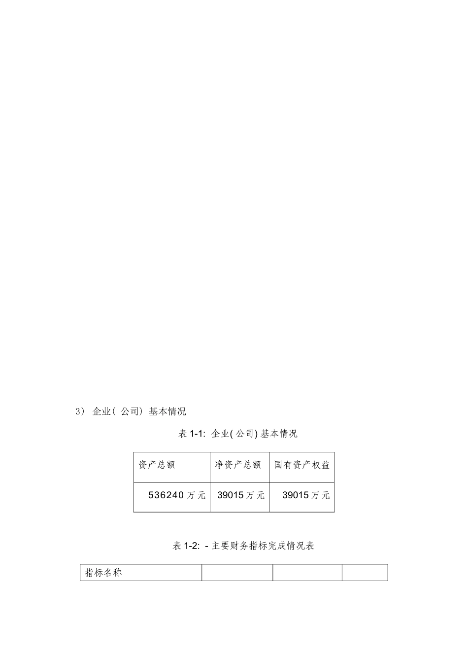 国际工程公司样本_第3页
