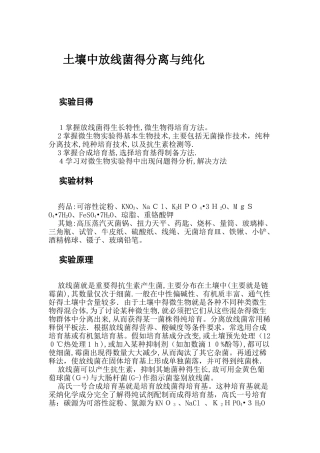 土壤中放线菌的分离与纯化