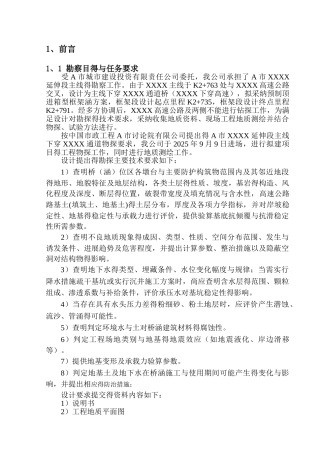 地质物探报告