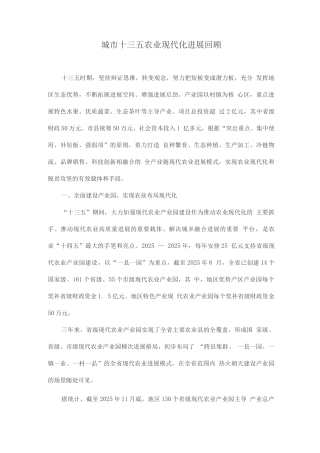 城市十三五农业现代化发展回顾