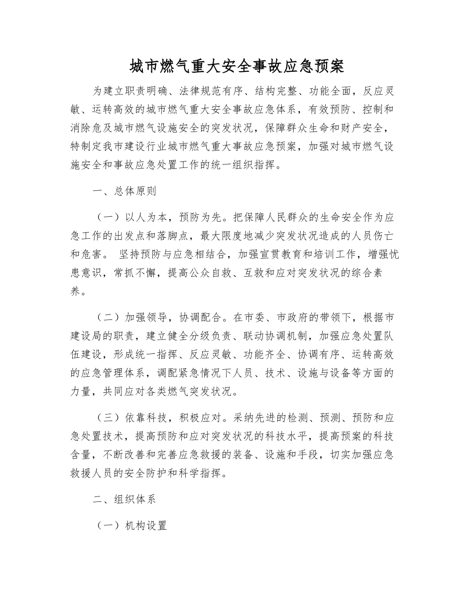 城市燃气重大安全事故应急预案_第2页