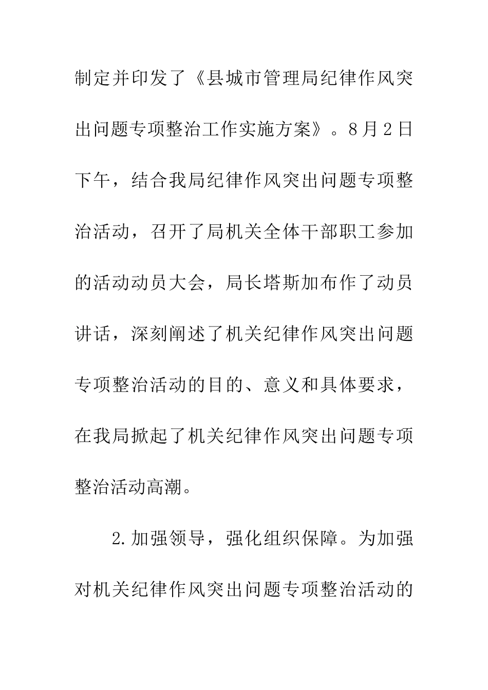 城管局纪律作风整治工作总结_第2页