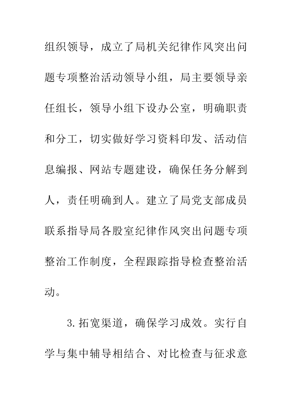 城管局纪律作风整治工作总结_第3页