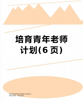 培养青年教师计划