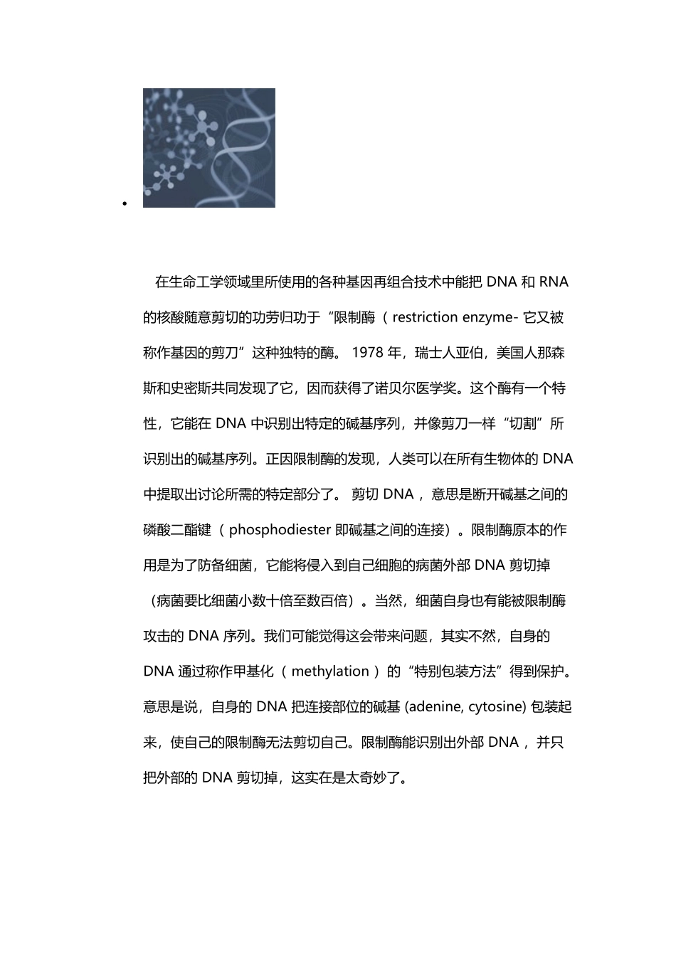 基因的剪刀——限制酶_第2页