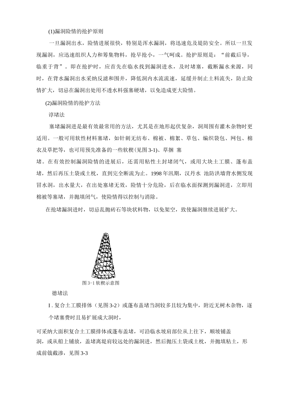 堤防险情应对措施_第2页