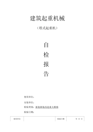 塔式起重机自检报告