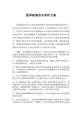 夏季新栽苗木养护方案