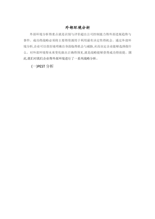外部环境分析