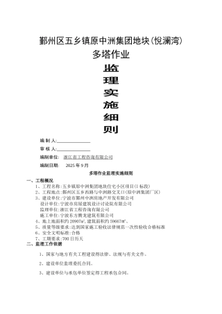 多塔作业监理细则