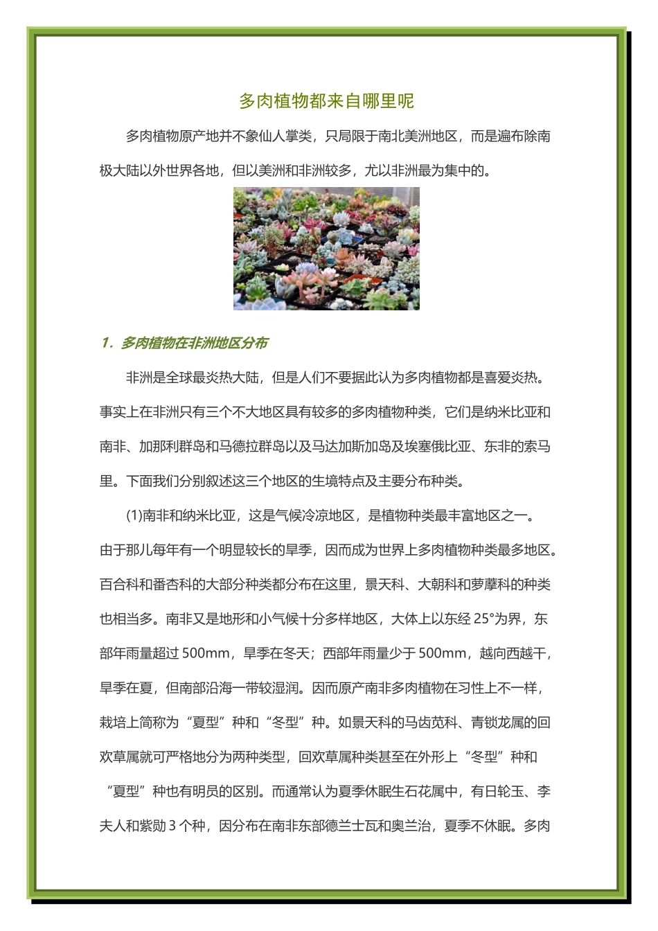 多肉植物都来自哪里呢_第2页