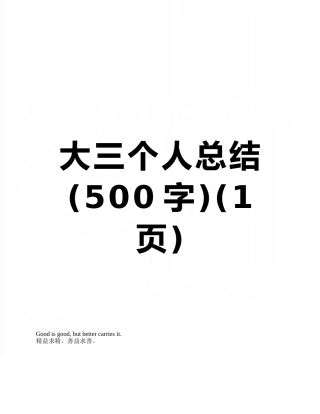 大三个人总结-