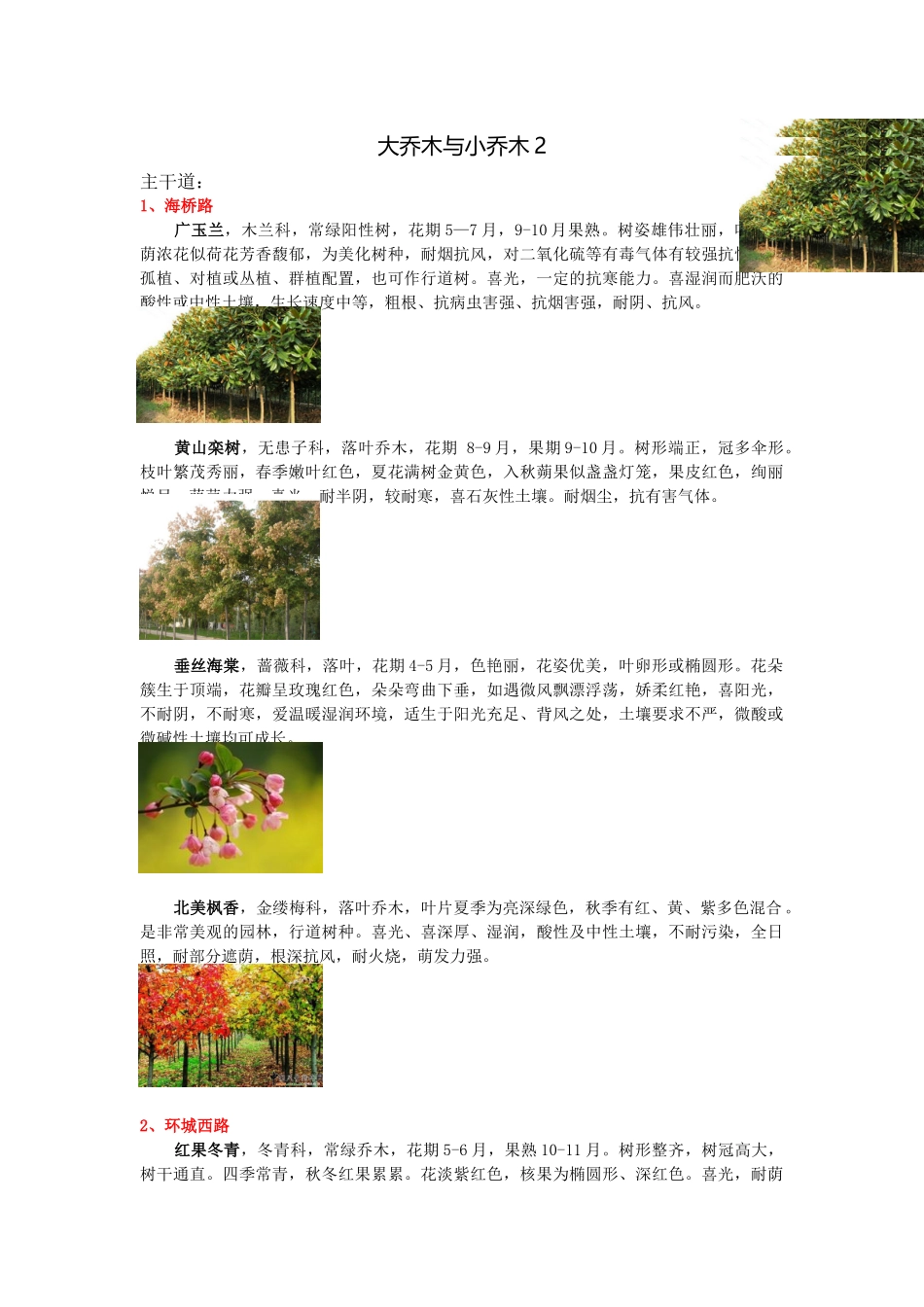 大乔木与小乔木2_第1页