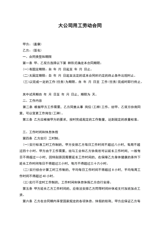 大公司用工劳动合同