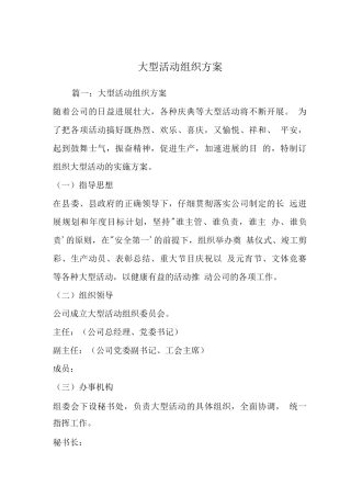 大型活动组织方案