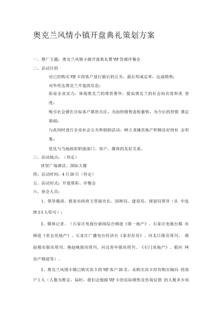 大型项目开盘方案