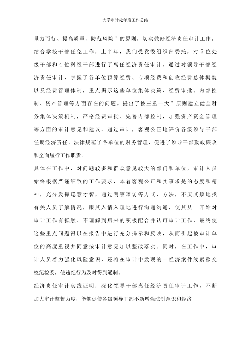 大学审计处年度工作总结_第2页