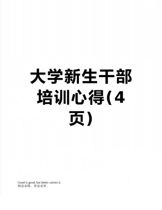 大学新生干部培训心得