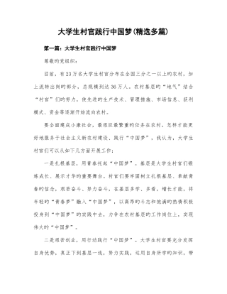 大学生村官践行中国梦精选多篇