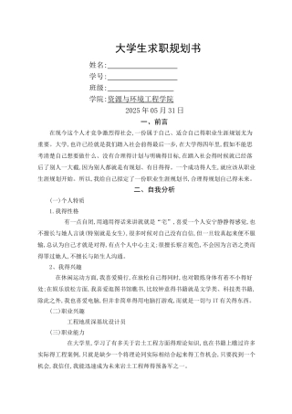 大学生求职规划书