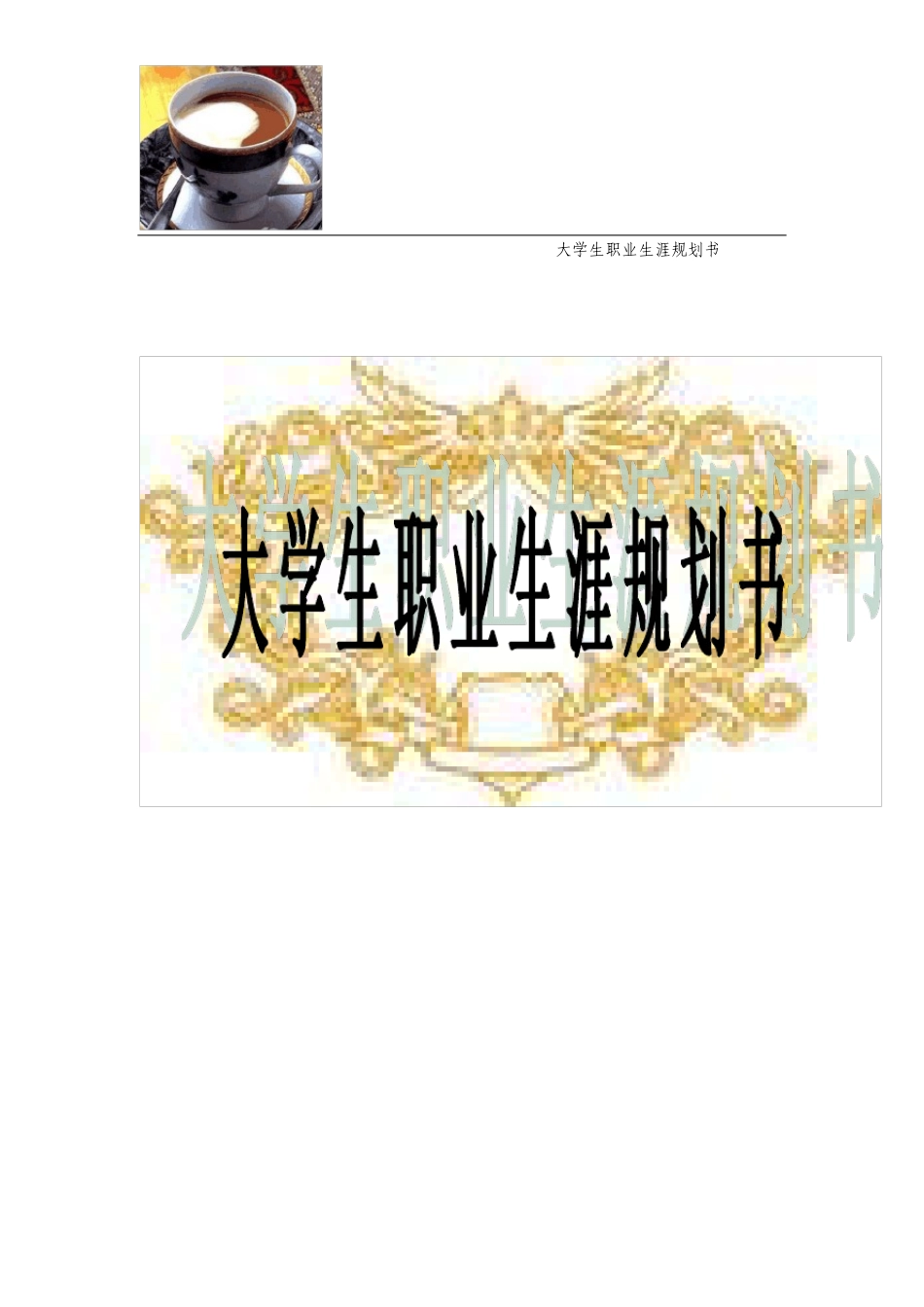 大学生职业规划书范文模板_第1页