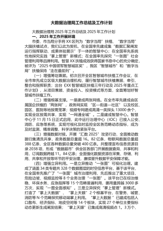大数据治理局2025年工作总结及2025年工作计划