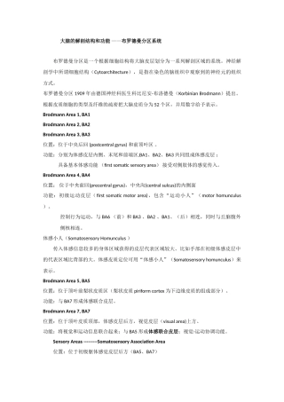 大脑的解剖结构和功能——布鲁德曼分区