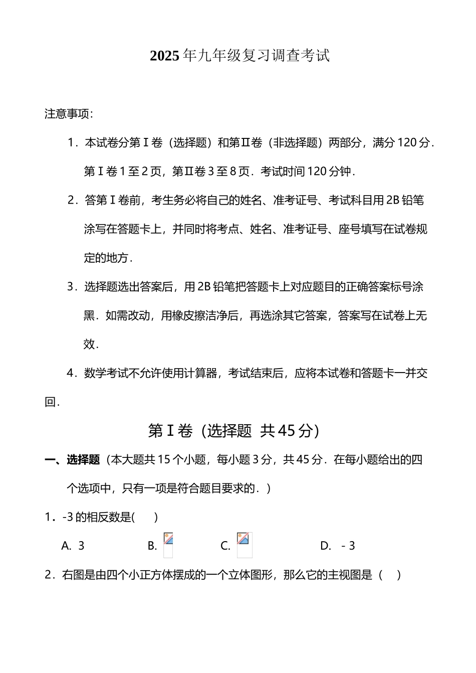 天桥五校联考2025年九年级复习调查考试_第2页