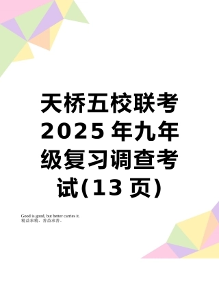 天桥五校联考2025年九年级复习调查考试