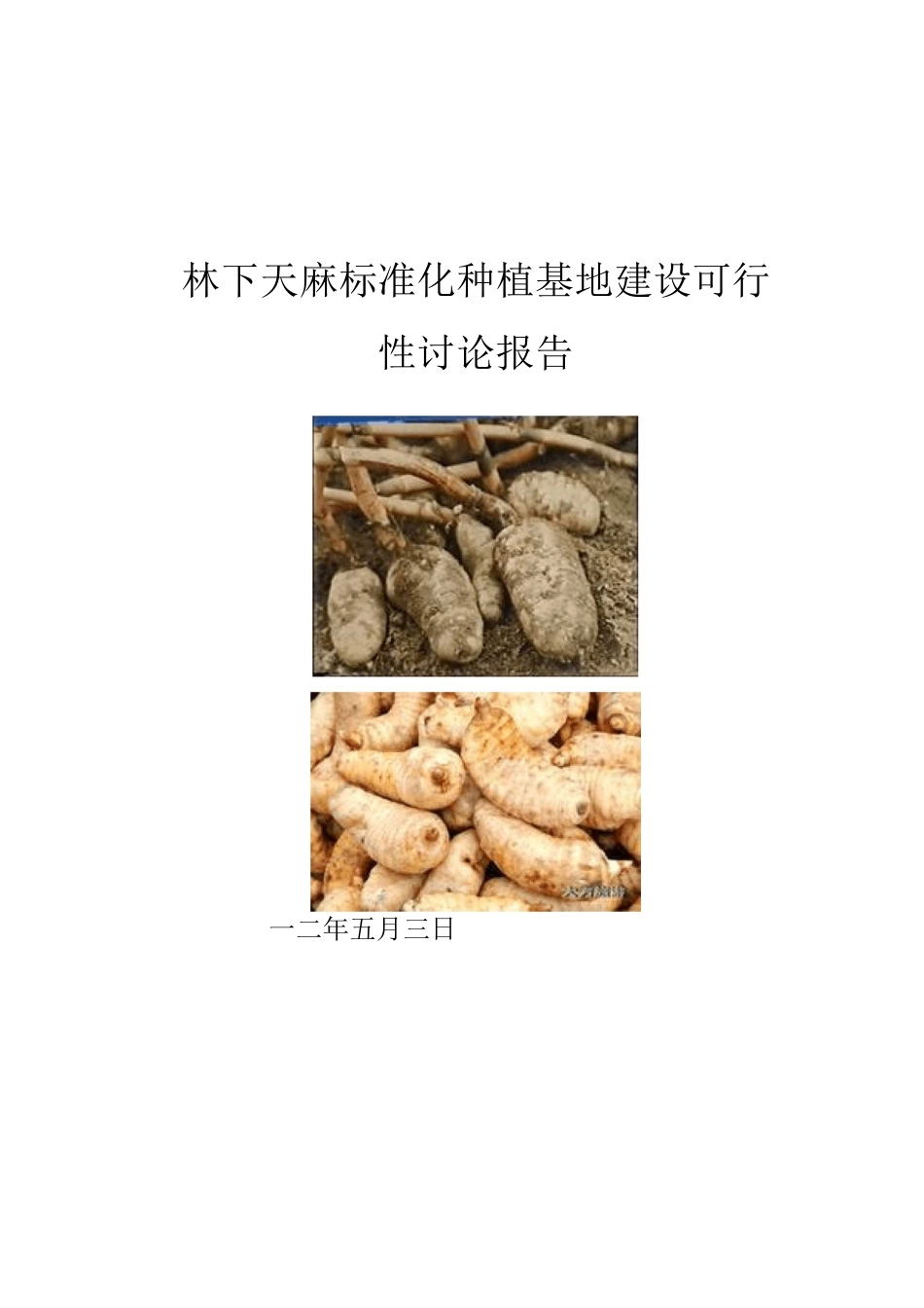 天麻标准化种植基地建设可行性研究报告_第1页