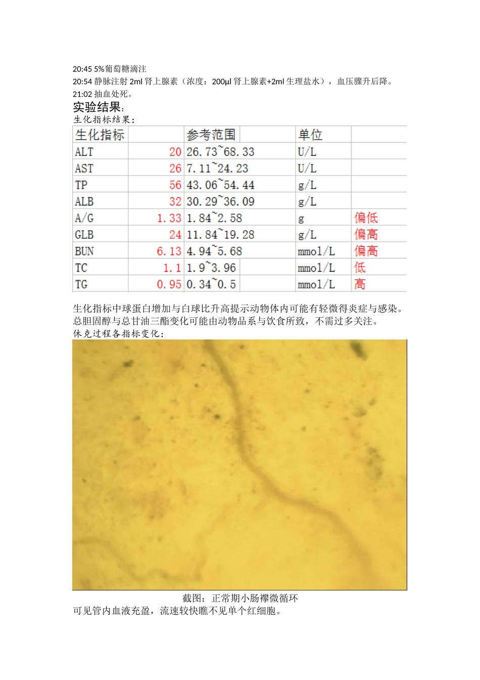 失血性休克实验报告_第3页