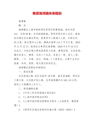 奉贤海湾镇未来规划