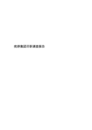 奕淳集团尽职调查报告