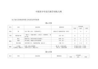 女子技巧身体素质练习内容及评价标准