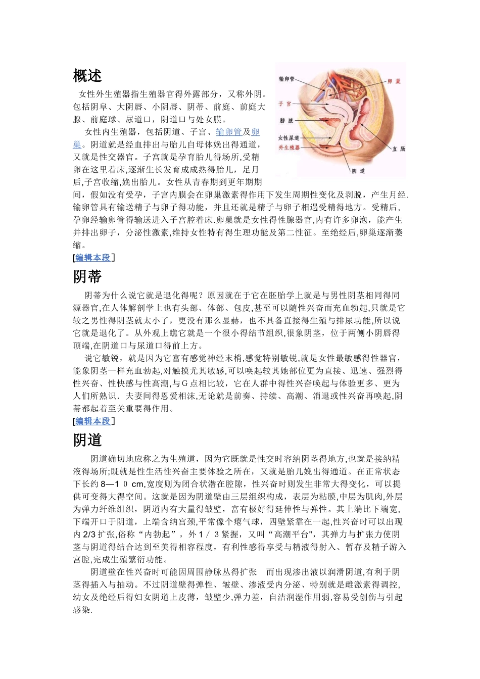 女性生殖器结构_第1页