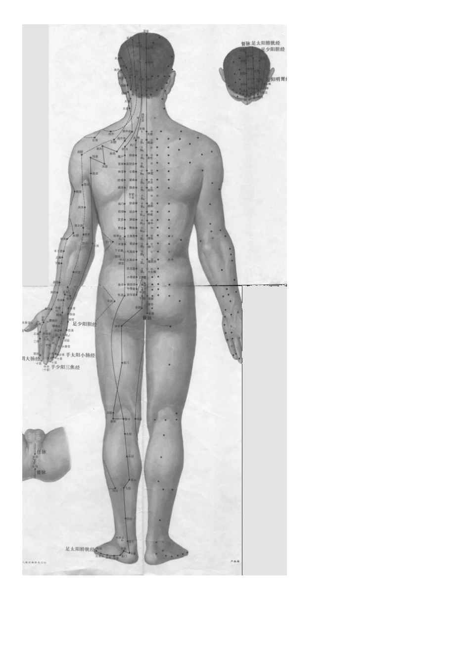 女性痛经的按摩治疗_第3页