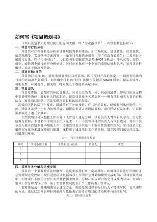 如何写《项目策划书》