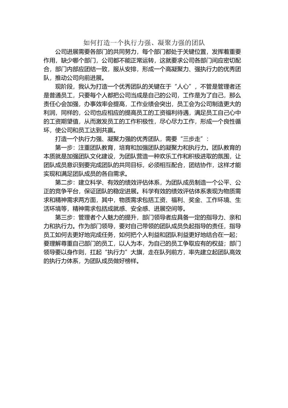 如何打造一个执行力强、凝聚力强的团队_第2页