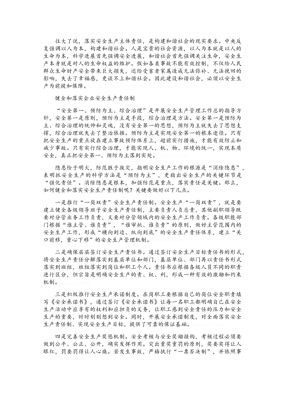 如何落实安全生产主体责任_第2页